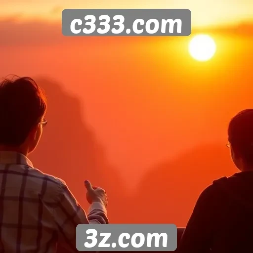 Avaliação da experiência do usuário no site c333.com