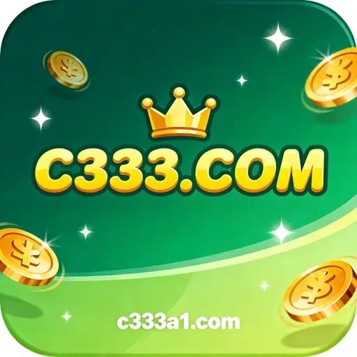 c333.com